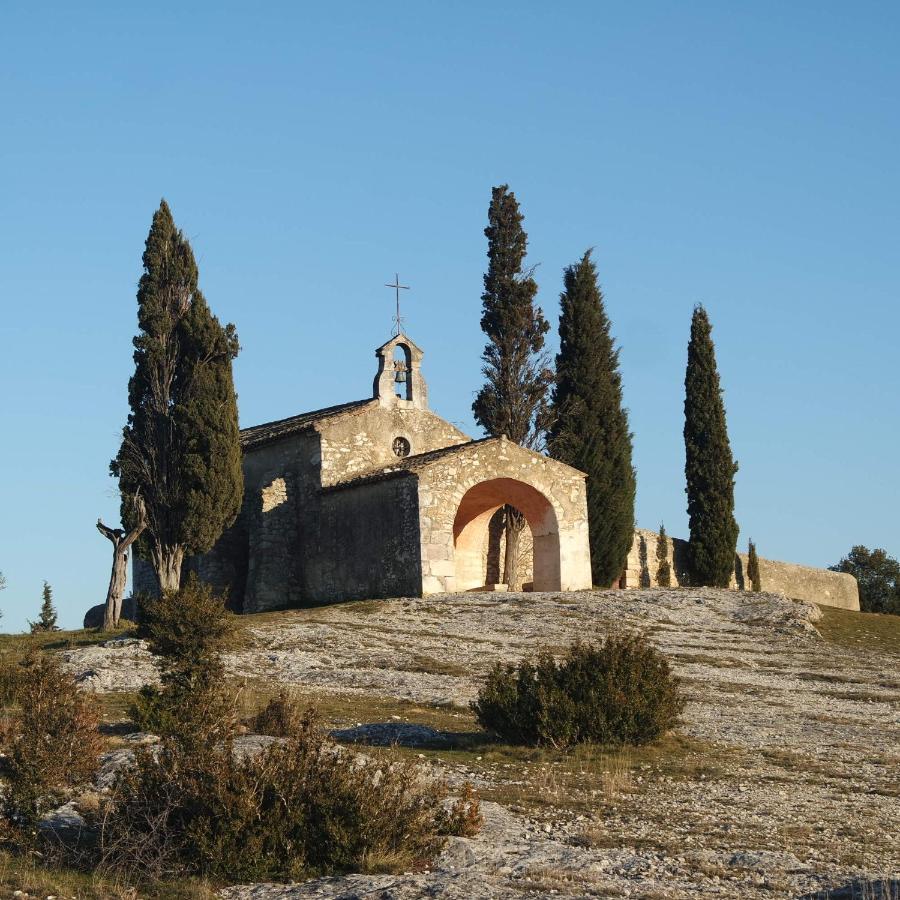 Mas Grimaud - Gite- Studio Et Chambres D'Hotes Familiales Eygalières Dış mekan fotoğraf